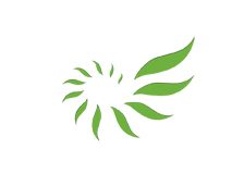 康（kāng）欣新材料