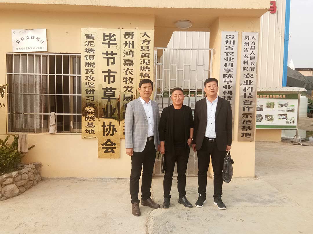 大型秸稈粉碎機（jī）